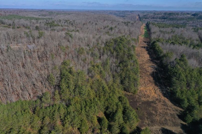 008 aerial drone view from the south boundary looking north across the property