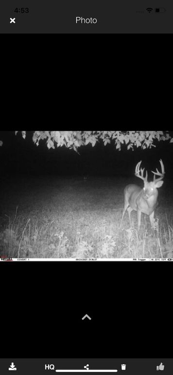 93C7D56C-ADEC-4C86-93F0-78DF6A071C55