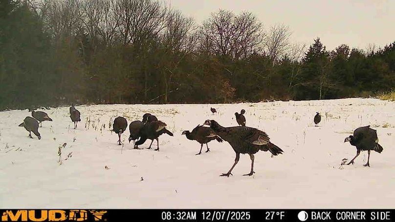 25120708324000001635_ColorizationType.none