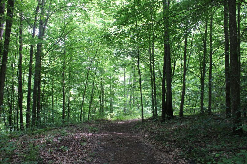 025 more of the excellent trail system leading about the property