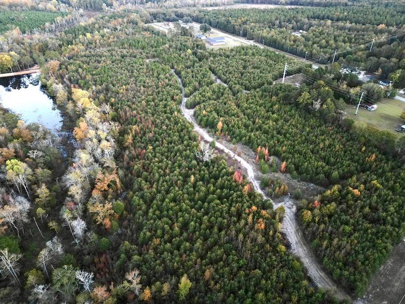 dji_fly_20251103_174146_430_1762260627068_photo