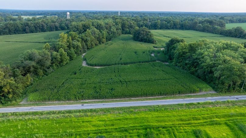 Copy of DJI_20250806063520_0080_D Large