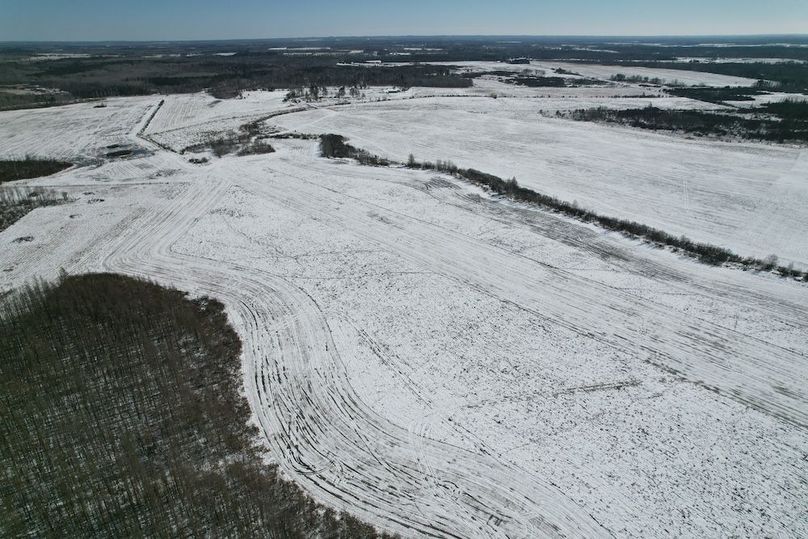 dji_fly_20260311_115548_112_1773248416795_photo (1)