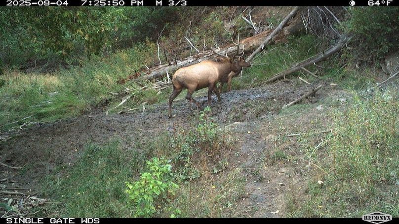 CB940E1C-B987-45B5-BB97-C6BED0FB3CC4