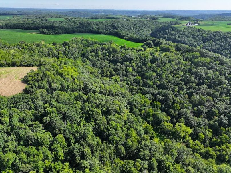 DJI_20240718094311_0005_D