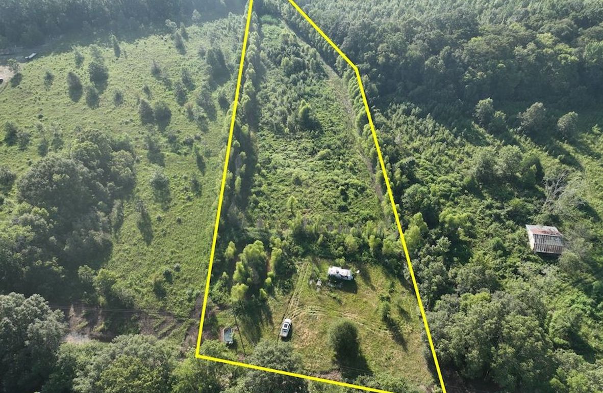 dji_fly_20240822_095336_786_1724354657077_photo