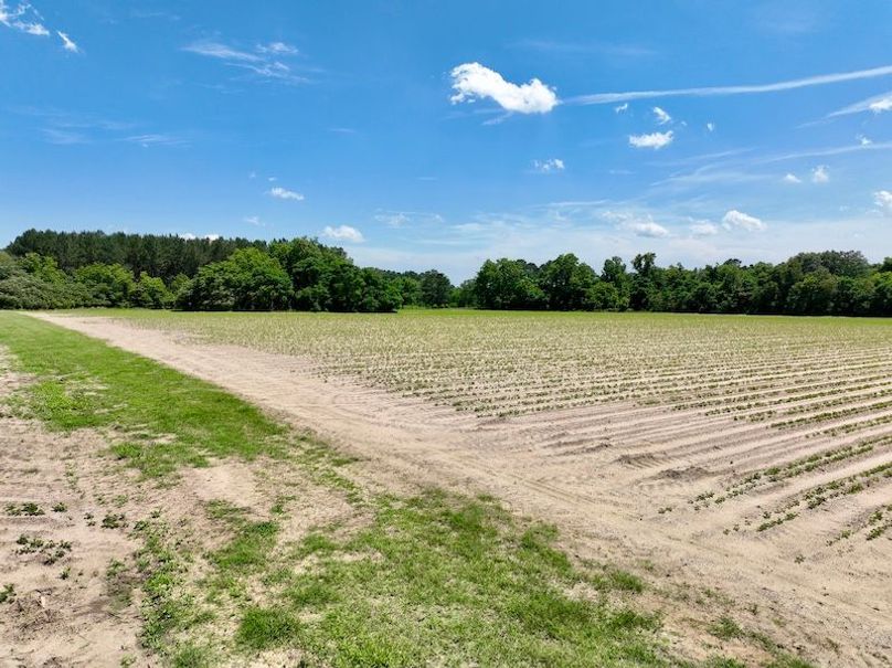 dji_fly_20250521_144726_887_1747853593184_photo