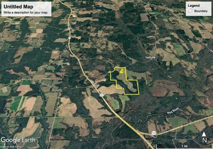 Aerial 2 Dale 216 Todd