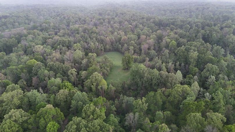 Claiborne Co-314-Fernandez-20