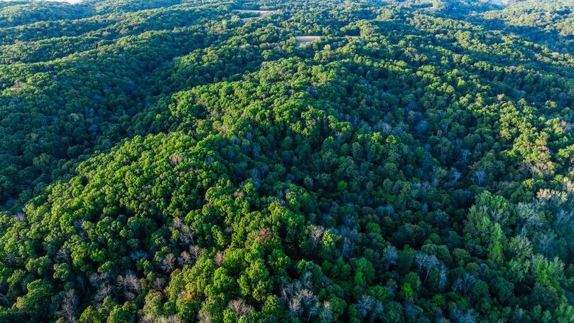 DJI_20251006052207_0029_D