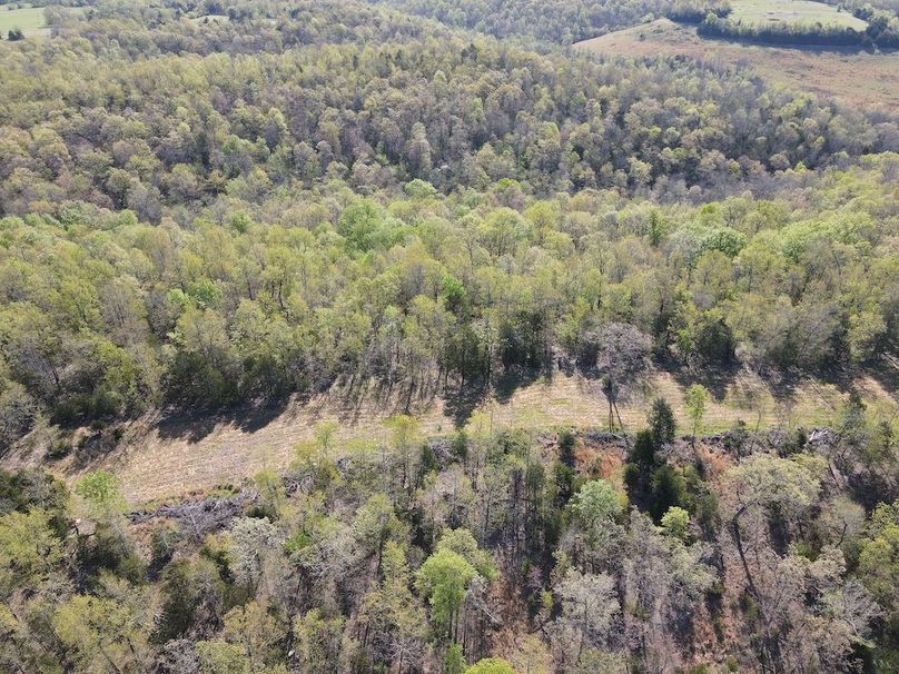 DJI_0307