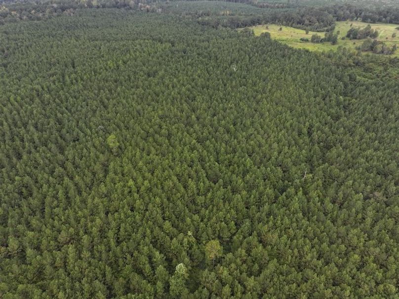 dji_fly_20250915_142622_0457_1758029016721_photo