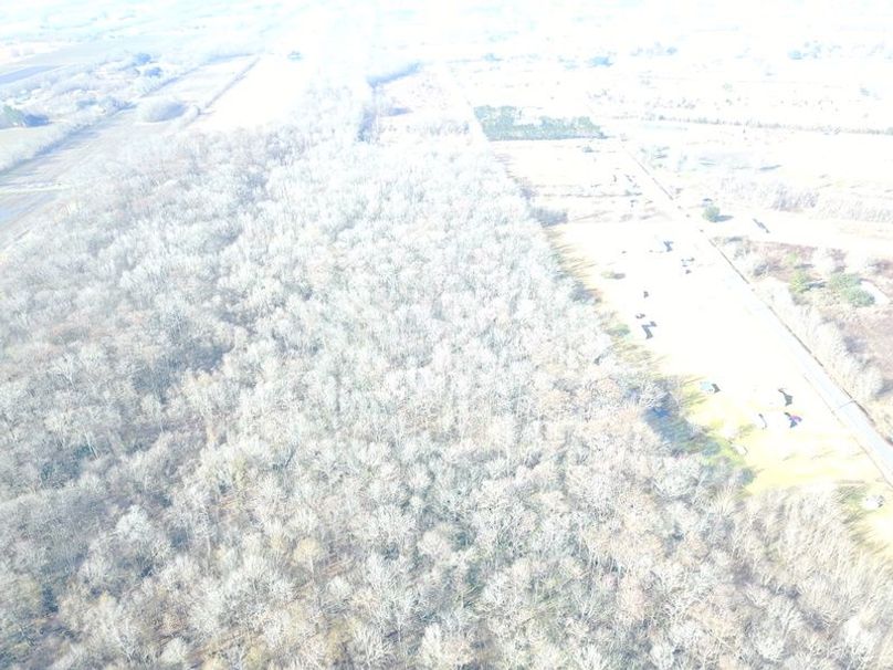 DJI_0006