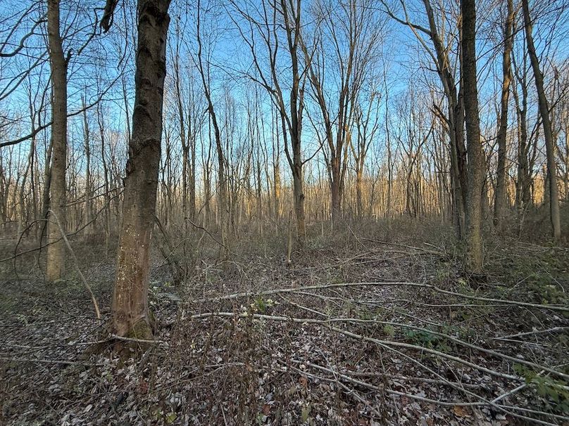 Wayne_29.09_BD_LandParcel_25