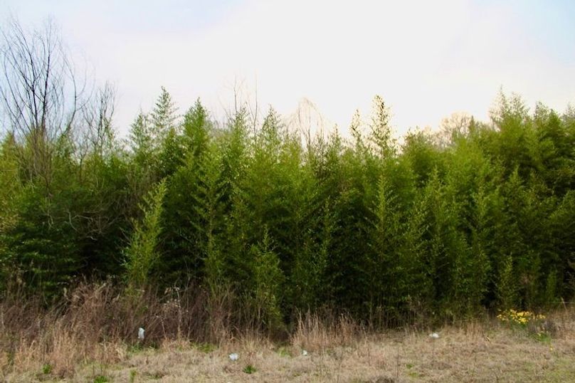 A6868D2E-A384-4239-88E1-884682E64147_1_105_c