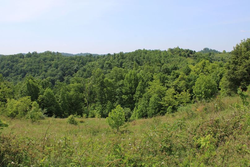 028 gorgeous views atop the ridge