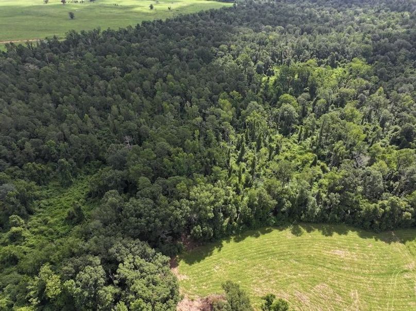 dji_fly_20250708_104444_0193_1752089895308_photo