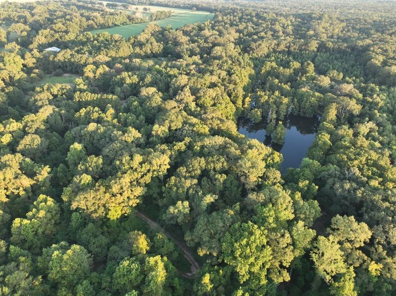 dji_fly_20250909_072544_188_1757426937437_photo