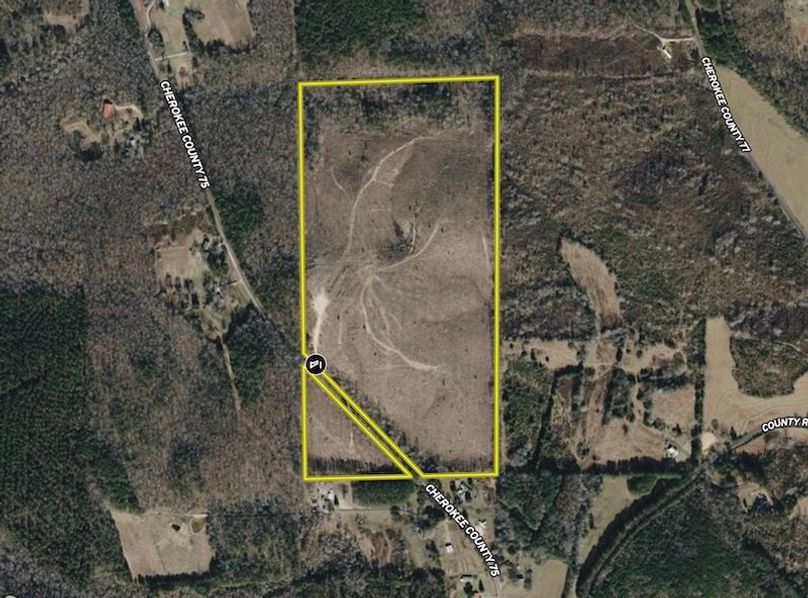 Screenshot 2026-04-21 at 9.59.31 AM