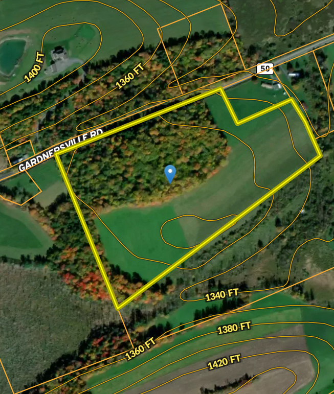 Schoharie Co 29.28+_- acres Miller Overview