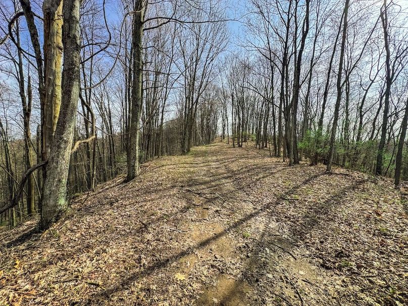 Ritchie, WV 206.08 AC Curriden-38