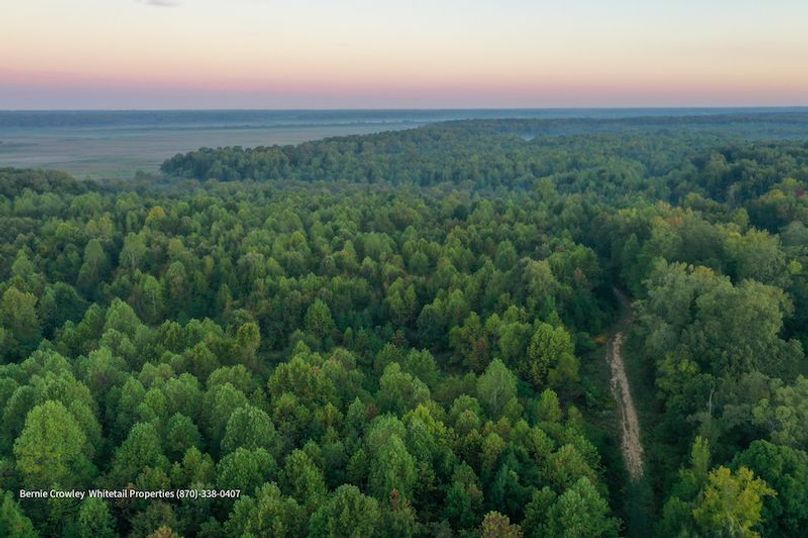 DeSoto 329 Prewett (Thompson) -11