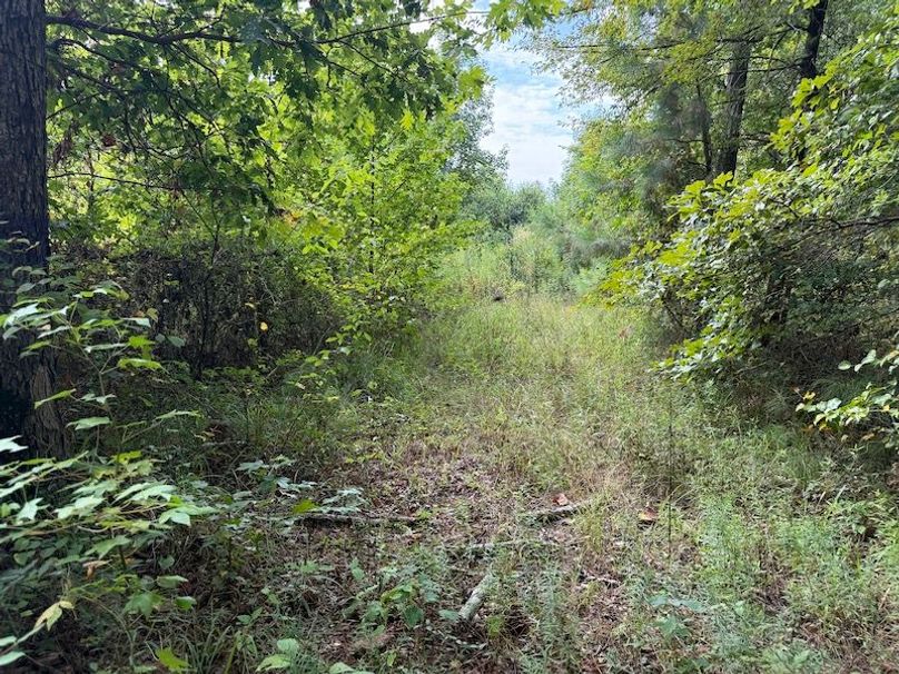 Photo Aug 14 2025, 9 29 09 AM