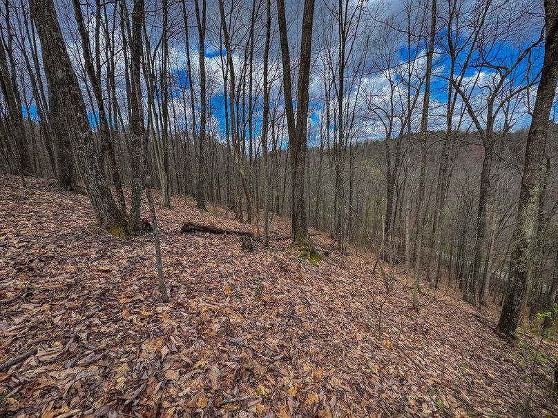 Wirt, WV 62.5 AC Full-26