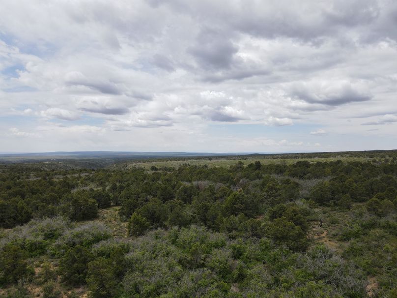 dji_export_1685968246155