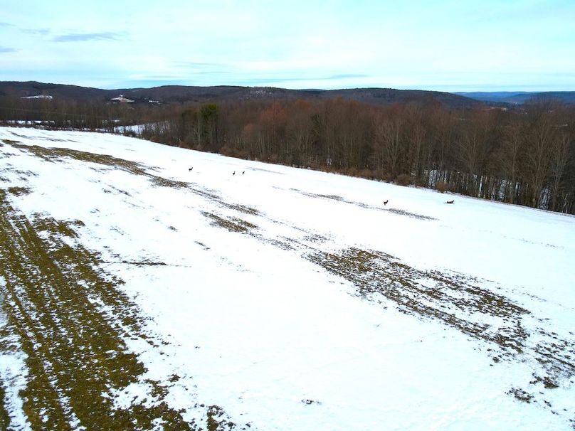 dji_fly_20251222_145230_429_1767019741676_photo