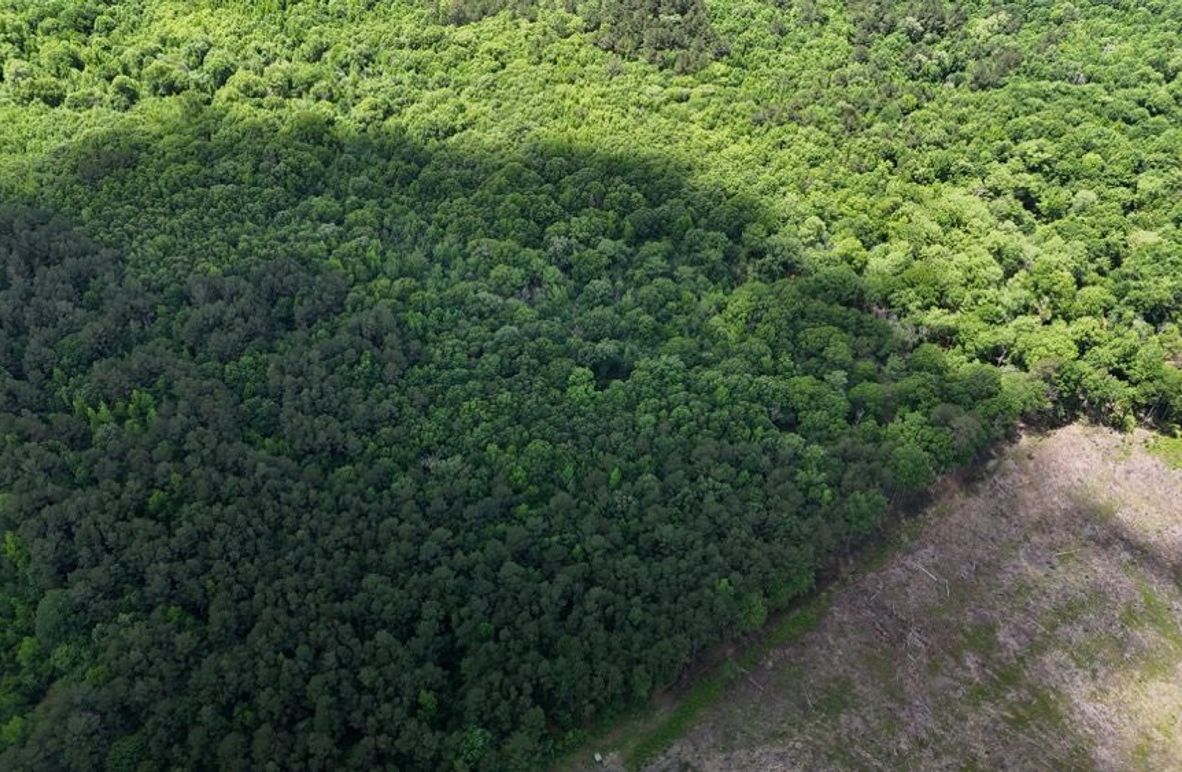 DJI_20250504013004_0477_D