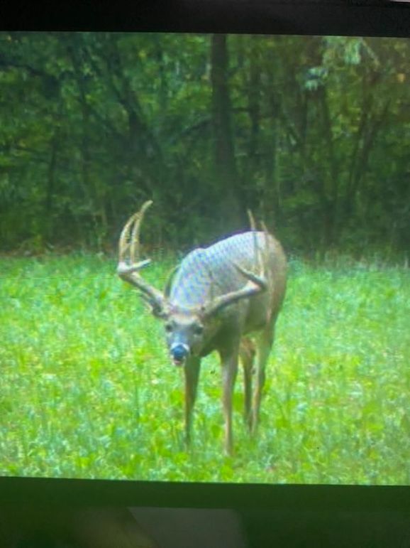 D3F0BA93-A746-43F9-B0D4-0B98492E51F4_1_105_c