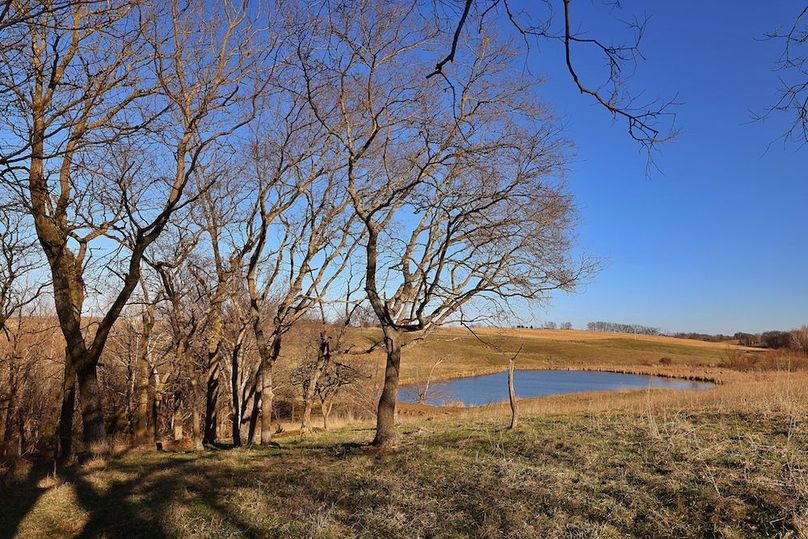 6 Buchanan 252.69 Tract 1jpg