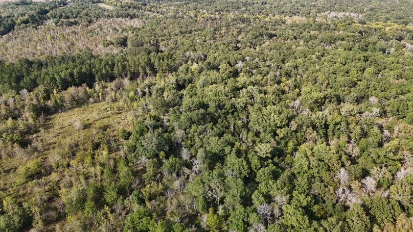 DJI_20250930053005_0768_D