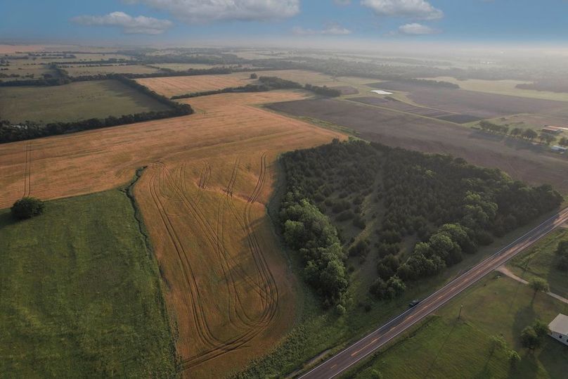 Lamar County- 92.66 Acres (3 of 29)