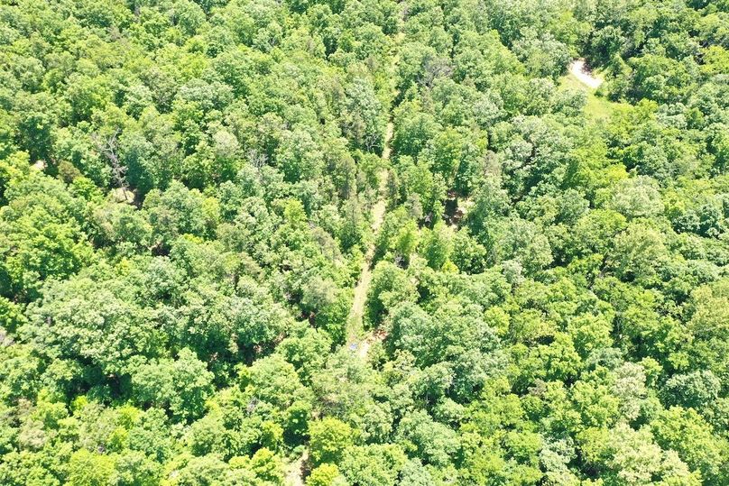 DJI_0910