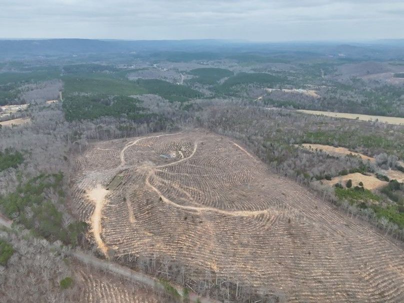 DJI_20260303123926_0016_V