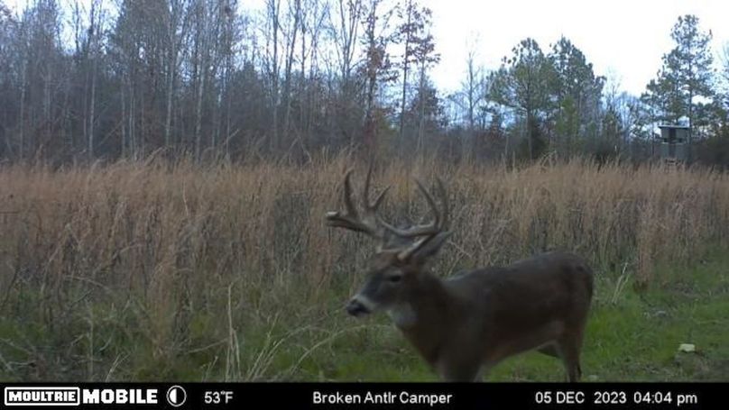 Benton 133.5 Trail Cam-01
