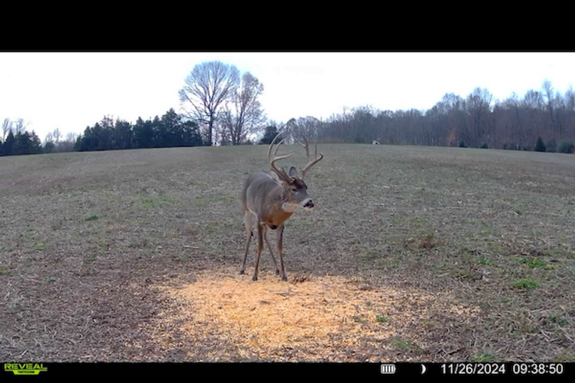 trail cam5