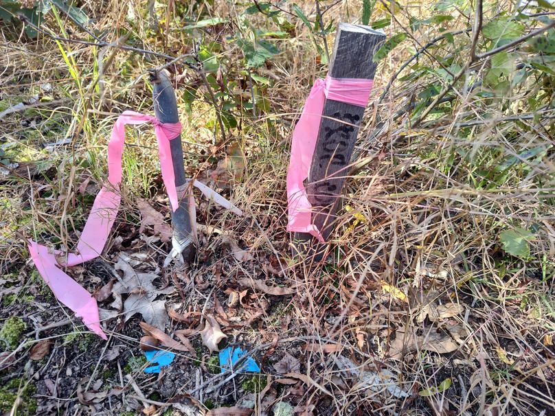 IMG_20231022_135940499_HDR