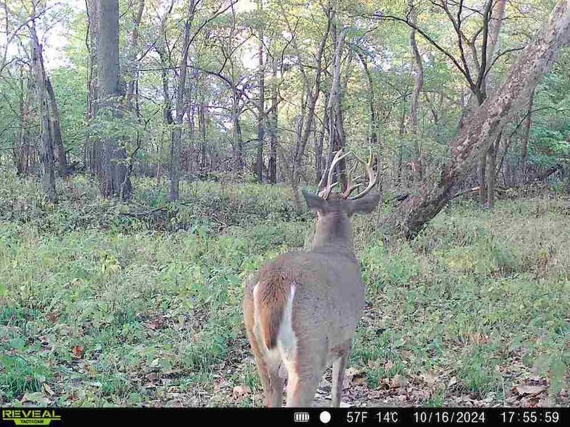 860322062494817-70-4-10162024175558-V-W1001112