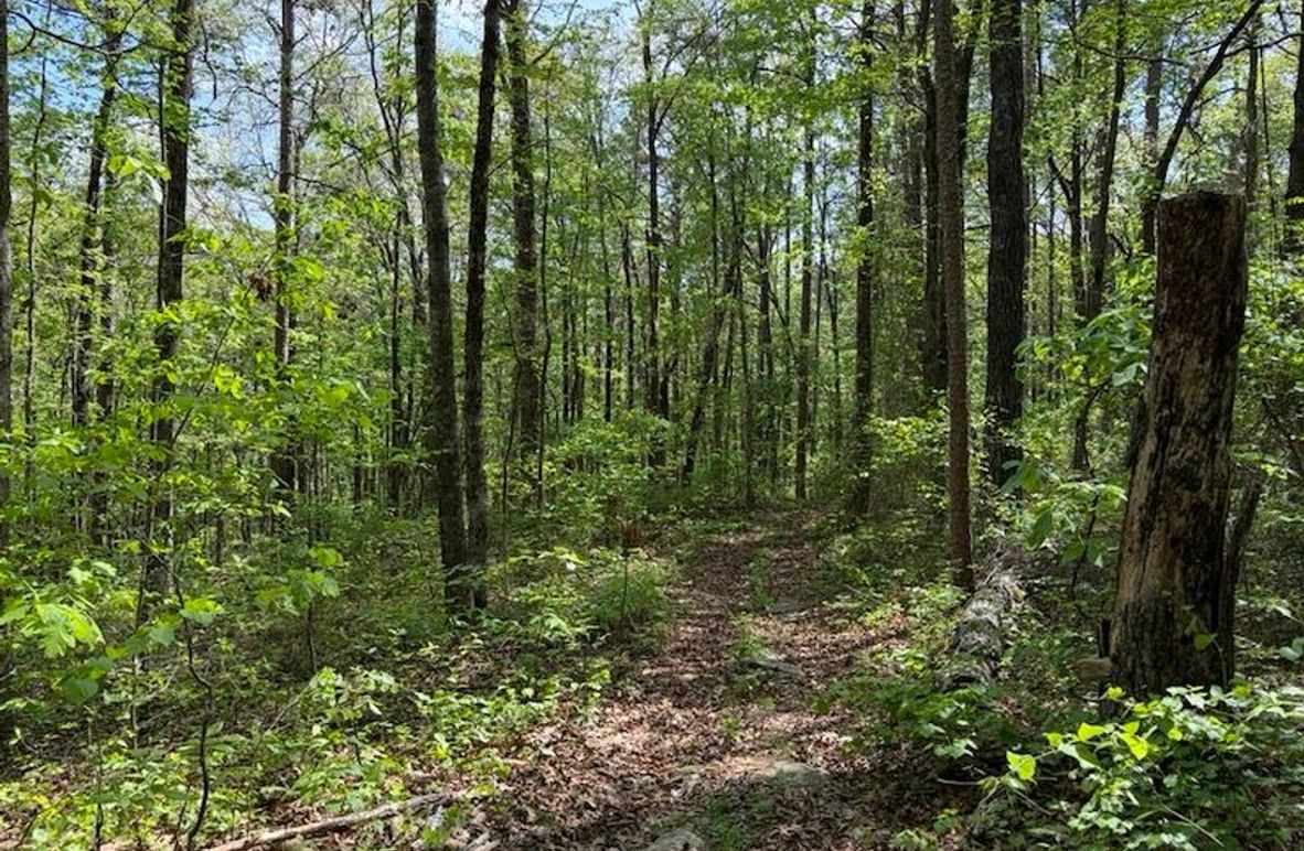 3D3DB7F5-88A4-46BD-AC0D-1BBEC2A4B2B0_1_105_c