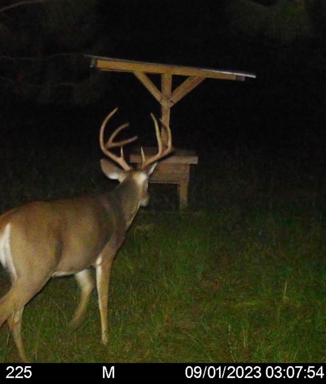 Screenshot 2023-09-01 at 7.37.04 AM