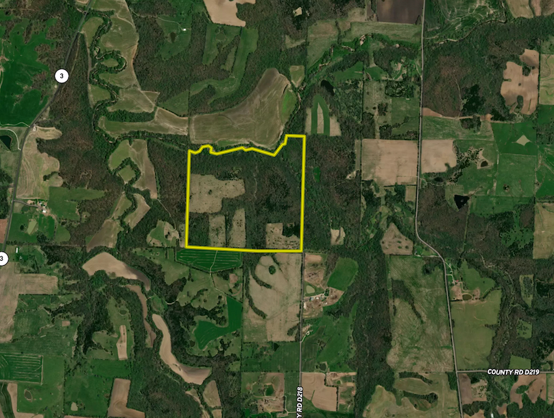 Screen Shot 2024-06-04 at 4.41.34 PM