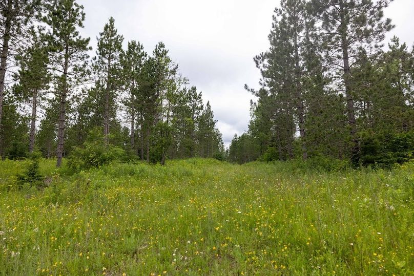 Mackinac 160 Leppiaho-8