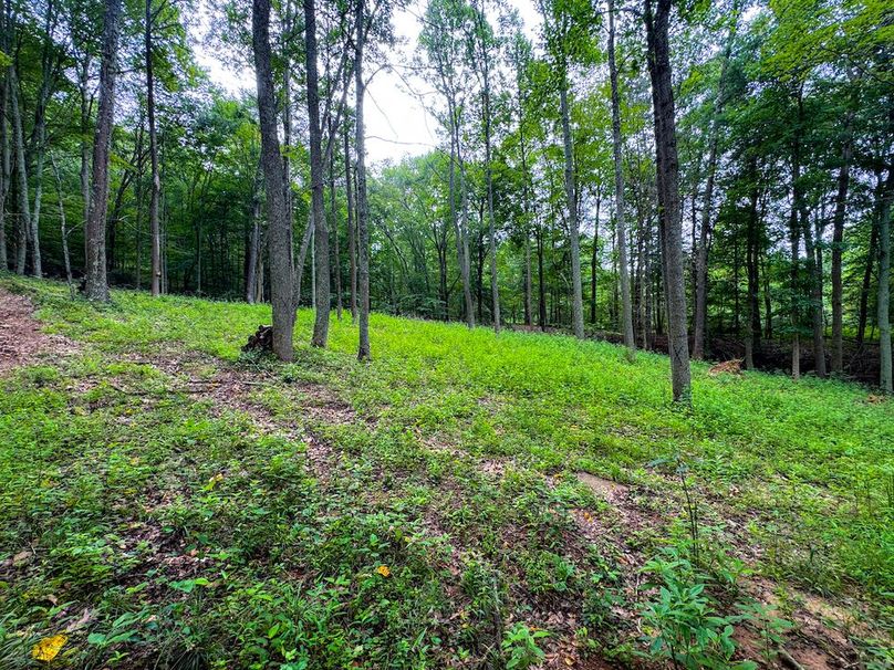 Tyler, WV 46 Lemasters -10