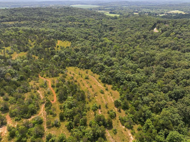 DJI_20250730112615_0500_D