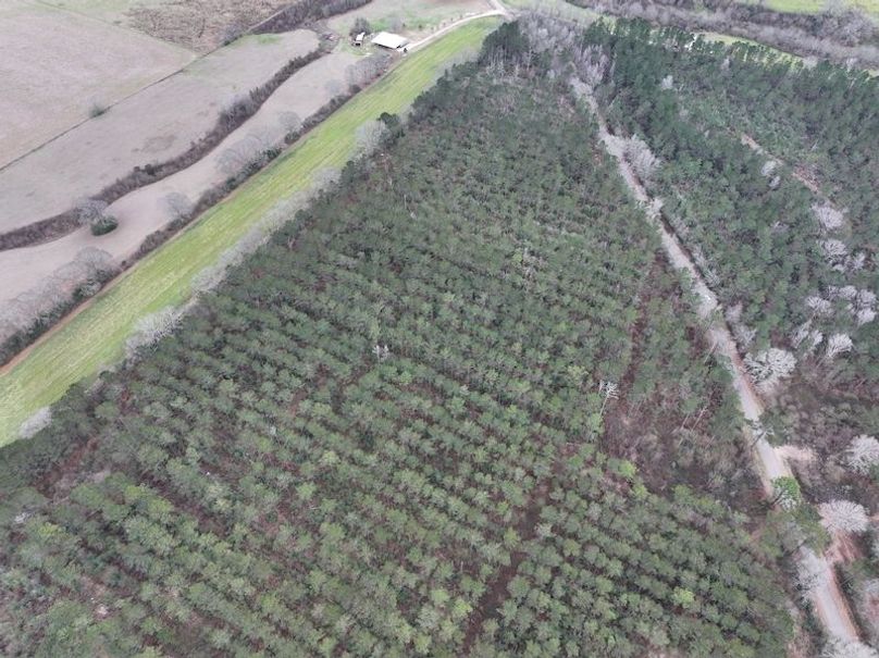 dji_fly_20260217_132446_0108_1771436919062_photo