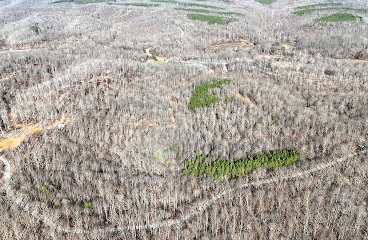 DJI_20260112113038_0019_D