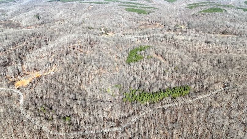 DJI_20260112113038_0019_D